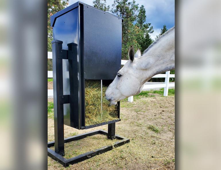 Timed horse outlet feeder