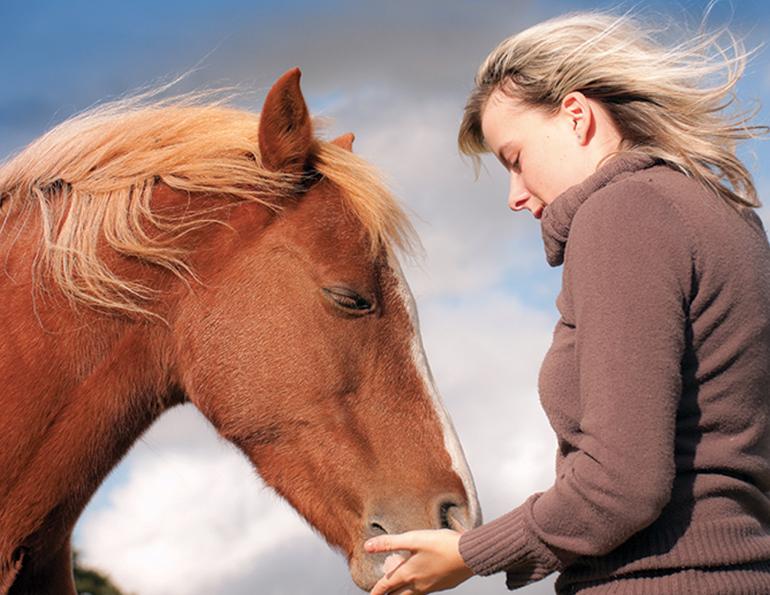 is canada's horse industry changing? changes to canadian horse industry, how canada's horse industry is changing