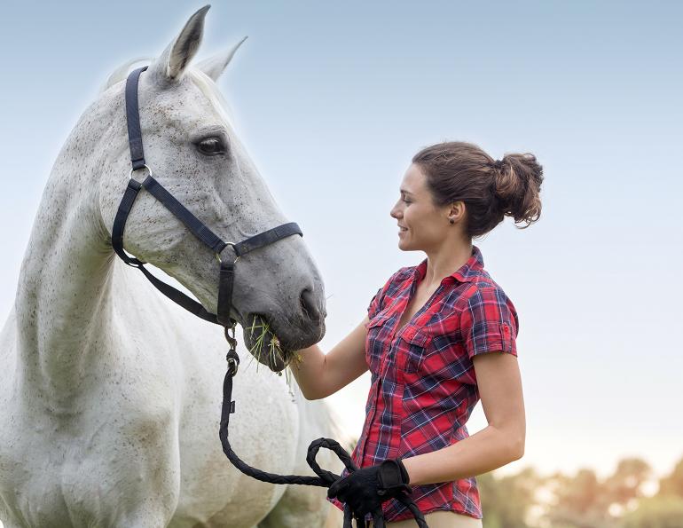 over-training horses, overtrain injury horse, preventing injury in horse, am i working my horse too hard, acera insurance, horse insurance for horses