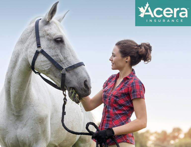 over-training horses, overtrain injury horse, preventing injury in horse, am i working my horse too hard, acera insurance, horse insurance for horses