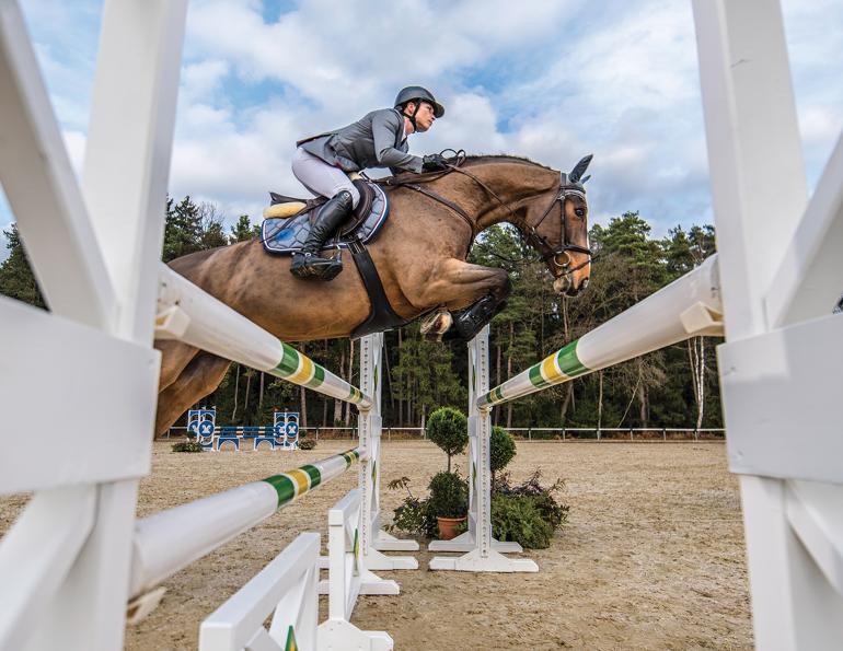 how to be a good horse rider, psychology horse riding, nervous riding horses, anxious in show ring equine, annika mcgivern, perfectionism horse riding