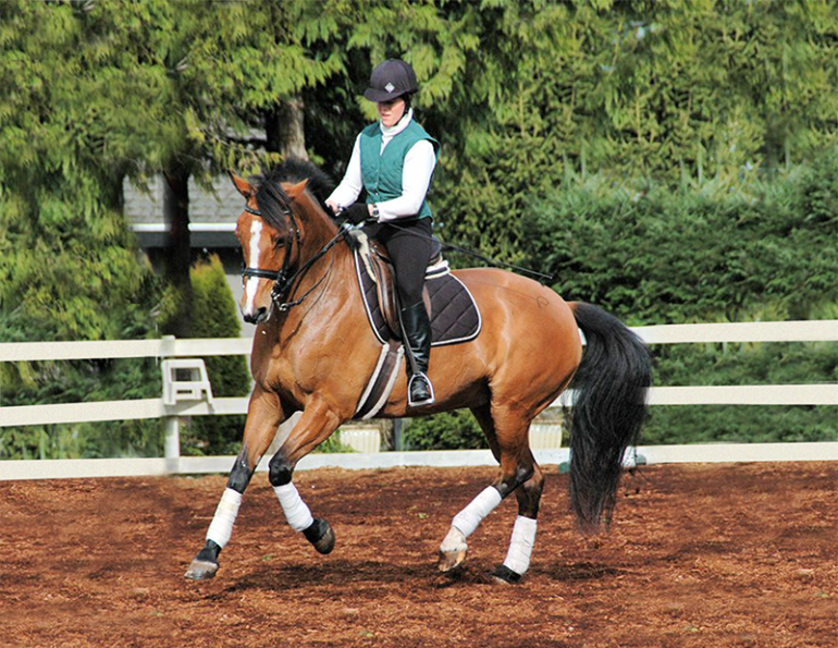 horse arena routines, jec ballou, arena diamond, balanced horse, horse flexion, equine sacroiliac joint, horse riding ground poles, dressage exercises, equine fitness 