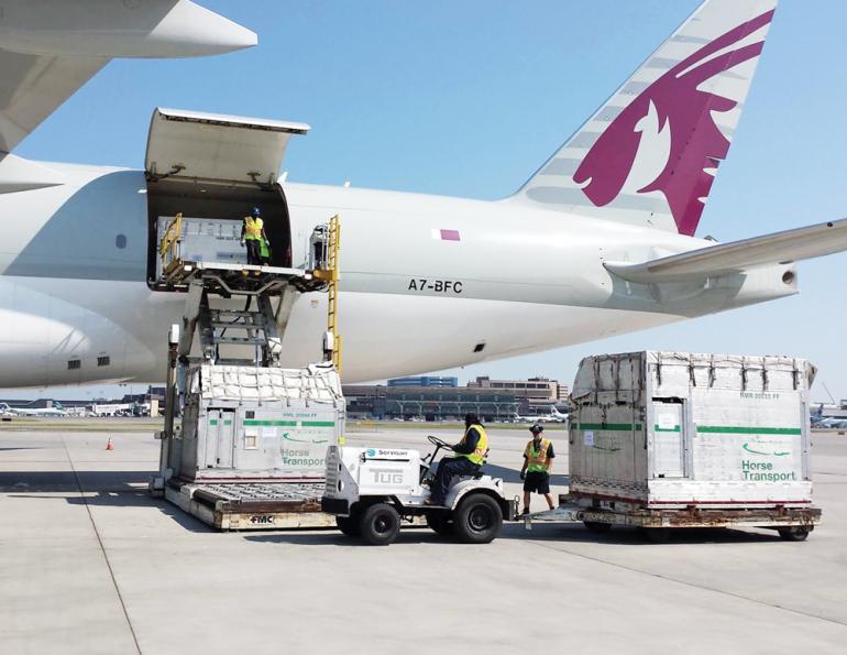 can horses go on airplanes, how to ship a horse overseas, quadriga horse transport, shipping horses by air