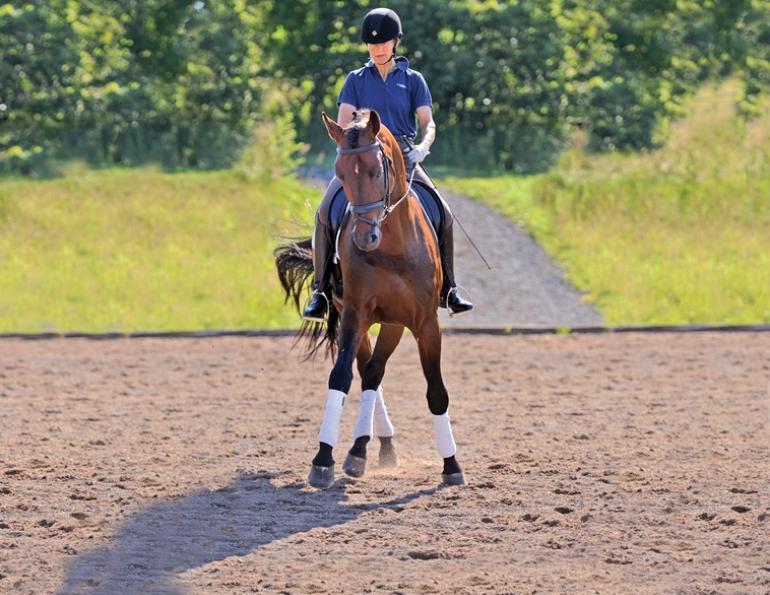 horse to lateral work Jec A. Ballou prancing dressage horses, lateral movements shoulder-in haunches-in dressage exercises, conditioning horse, offer unrivaled conditioning effects for almost any equine athlete