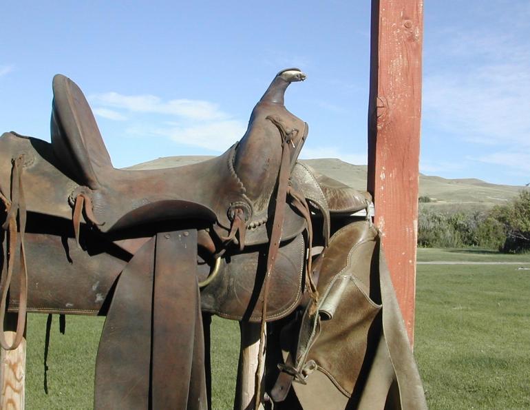 When to keep horse tack, Anna Carner Blangiforti,