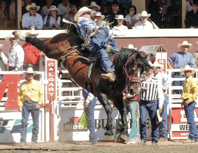 grated coconut rodeo horse dies, bareback riding horse grated coconut, Stampede Ranch Manager Tyler Kraft
