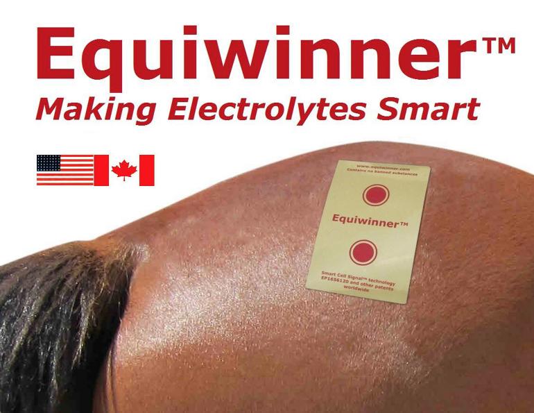 Equiwinner natural electrolyte balancing system