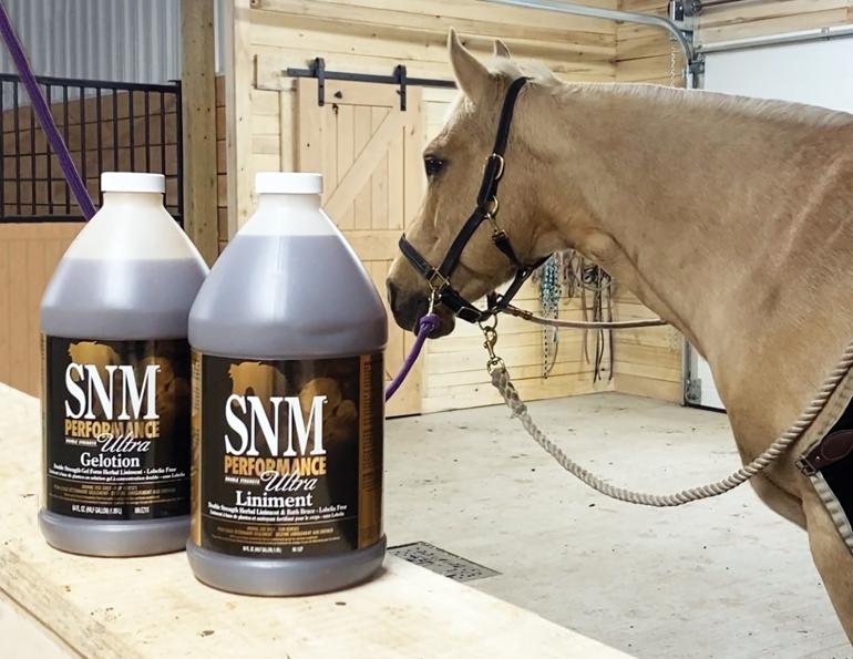 sore no-more by arenus, product reviews arenus, arenus animal health, liniments for horses