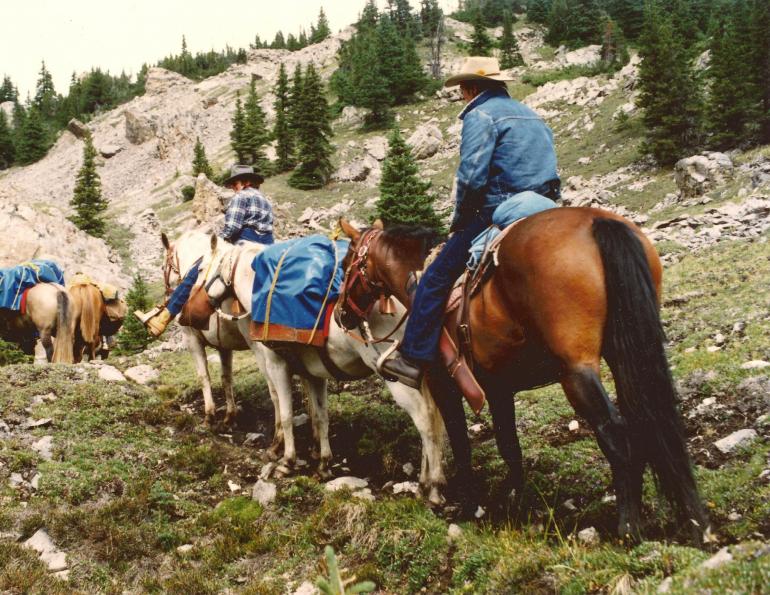 Stan Walchuk Jr, horse trail riding, trail riding guide
