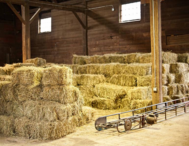 eastern hay corp, horse hay lofts need to be clean. Old horse hay, insects, heat and moisture will be very detrimental to the new horse hay stored in the loft. 