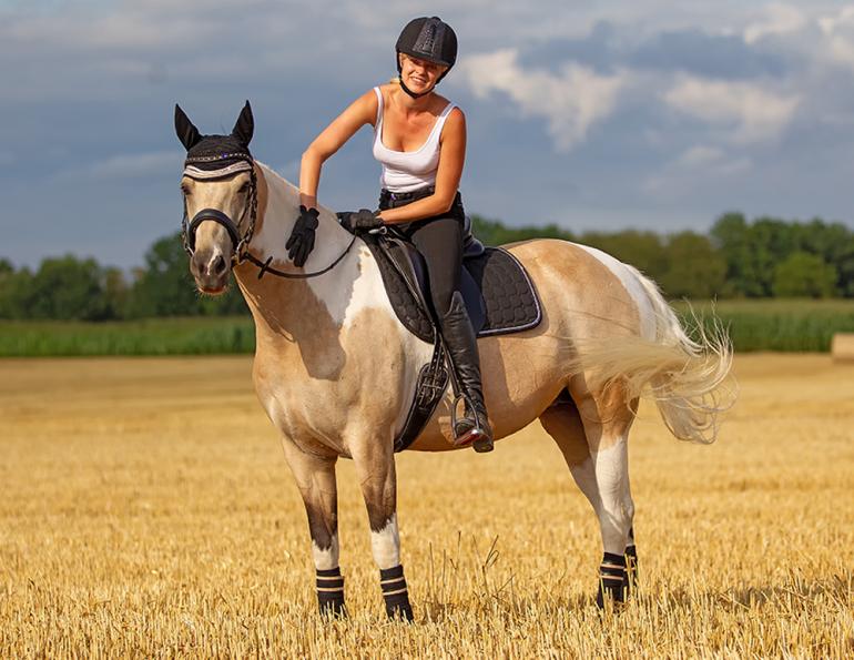 how to correct a problem horse, allowing the horse to figure it out, will clinging horse training
