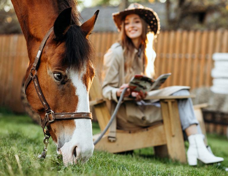 marketing canada's horse industry, print magazines in canada, advertising to canadian equestrians, canada's horse industry