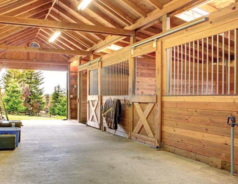 Design a Better Horse Stall | Horse Journals