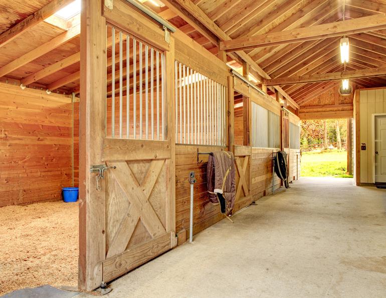 respiratory illness horses, dust management equestrian centre, horse farm dust, reducing dust for horses, dust and horses