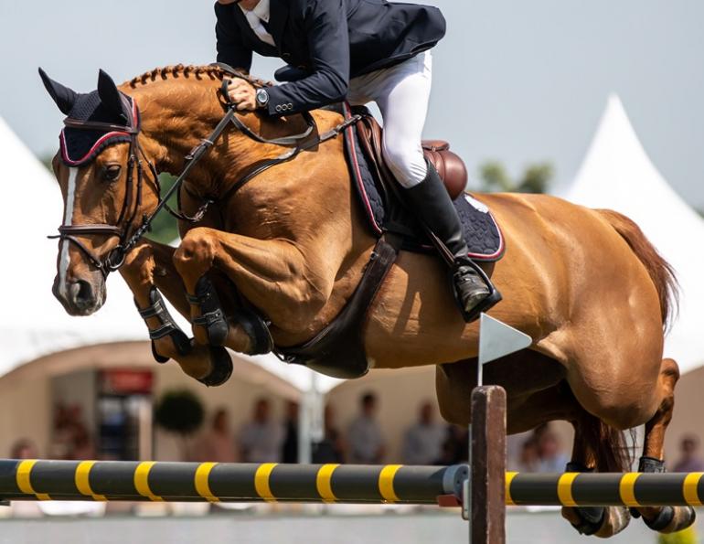 carbon footprint horses, greenhouse gasses horses, international society for equitation science conference march 2024