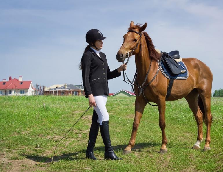 Horse Shaming, april clay, horse rider psychology, equine psychology, horse psychology
