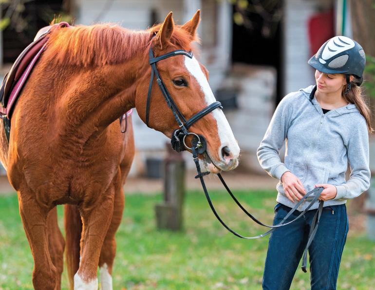 ANNIKA MCGIVERN equestrian psychologist, improve relationship with horse, enjoy riding horses 