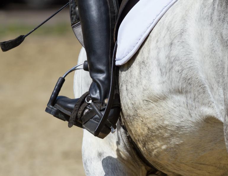 how to use a horse whip, whip usage equestrian sports, british show jumping, hartpury college conference, equine guelph on whips