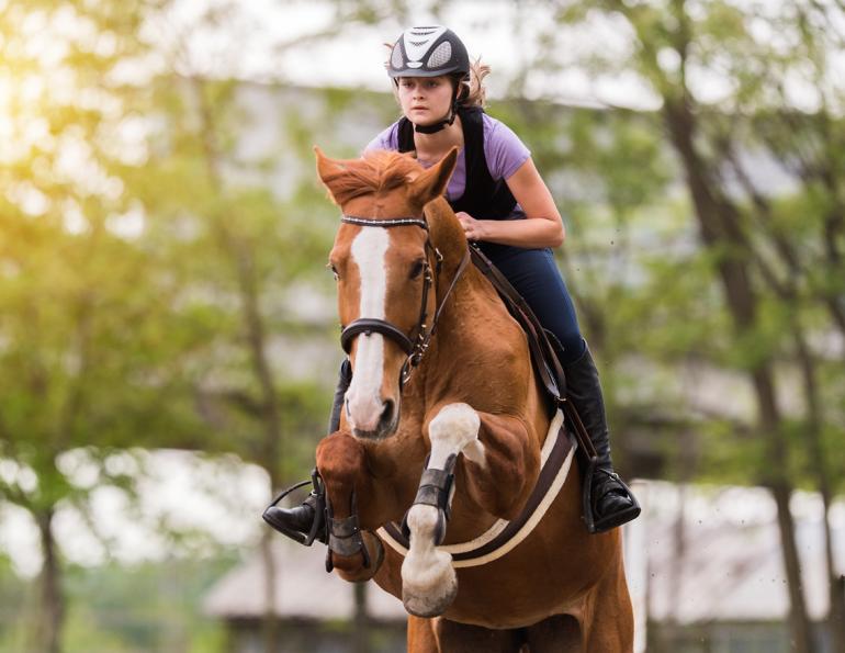am I overtraining my horse? drawbacks of overtraining your horse, how much should I train my horse? how much time should I leave between horse training sessions?