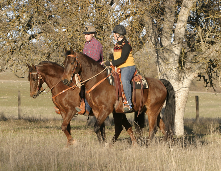 Lindsay Grice, how to enjoy fall winter with Your Horse, meeting your equine goals, explore alternate activities with your horse, horse training, bonding with your horse, winter horse riding, autumn horse riding