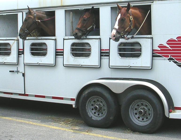 horse trailer accident liability