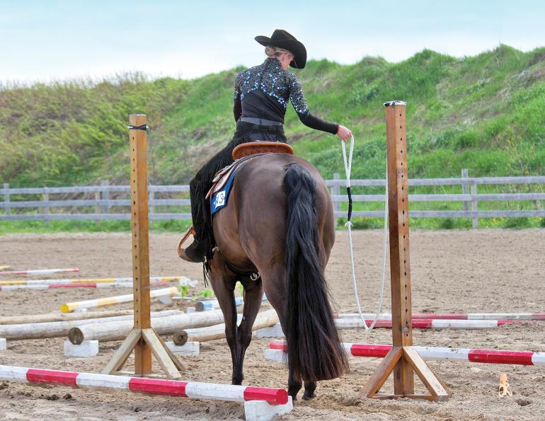 horse won't go through gate, gate exercises horses, competitive trail competitions, working equitation, mountain trail horse, extreme cowboy tests, horse afraid gate