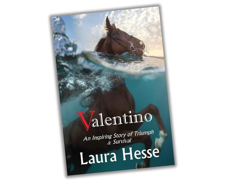 valentino by laura hesse, really good horse books, new horse books