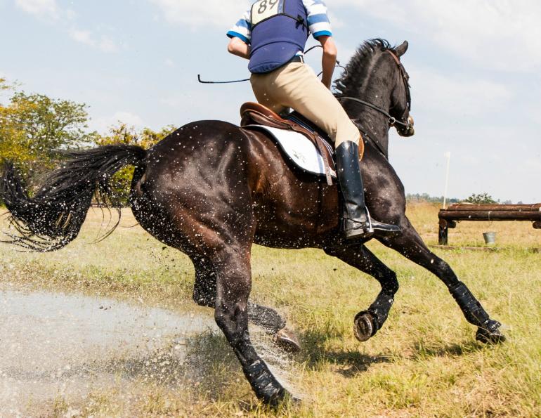 3 day eventing, horse riding, all about that horse, horse stories, horse news, fun horse stories, interesting horse news, trending horse industry news