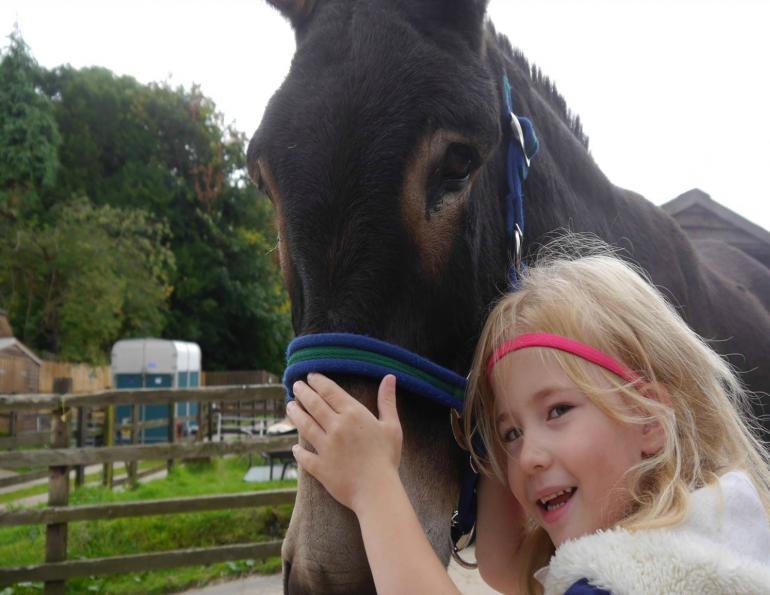 ambers donkey, sanctuary, animal rescue, horse riding, all about that horse, horse stories, horse news, fun horse stories, interesting horse news, trending horse industry news