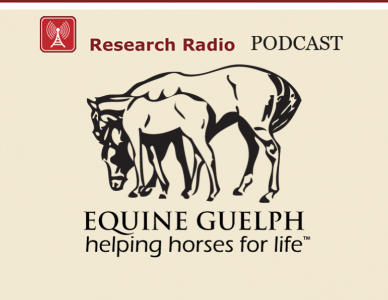 research radio podcast equine guelph, equine rhodococcus bacteria, equine bacteria, horse podcasts