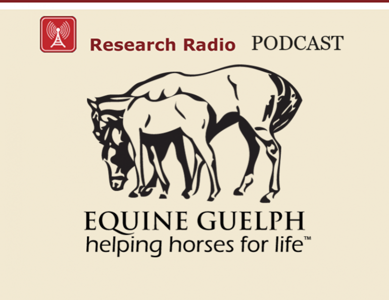 horse podcasts, research radio equine guelph, removing ticks from horses, equine guelph, how to get rid of a tick on my horse