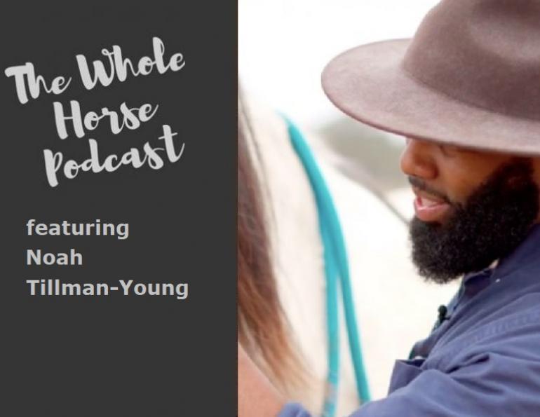 whole horse podcast, best horse podcasts, best equine podcasts, noah tillman young, steady horse llc, fearless rider formula