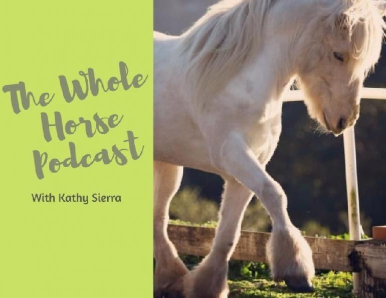 kathy sierra, horse trainer, alexa linton, equestrian psychology, equine manual therapist