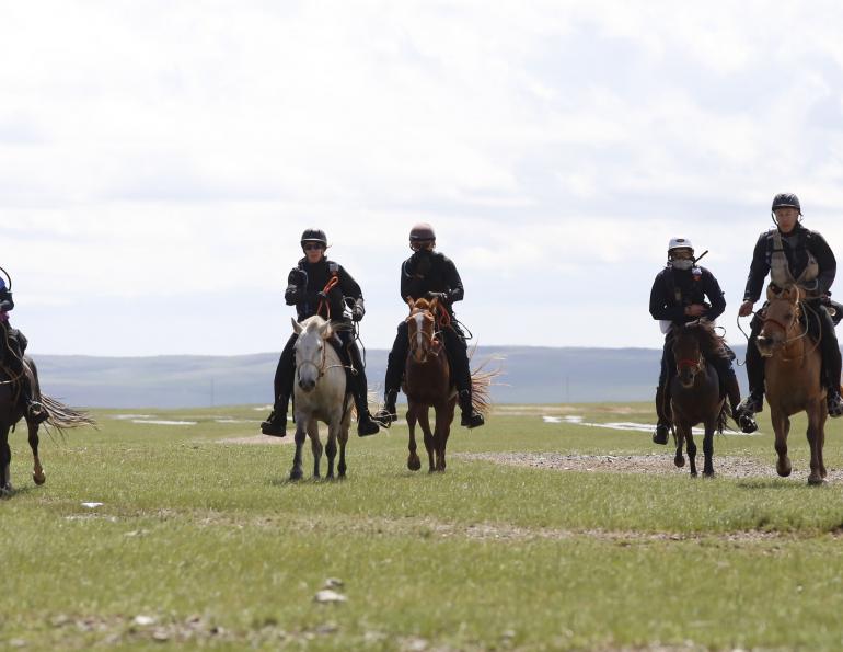 horse riding, all about that horse, horse stories, horse news, fun horse stories, interesting horse news, trending horse industry news, mongol derby, mongolia, 