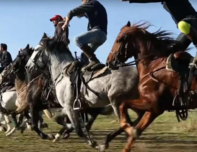 GoT, Horse Stunts, horse training, horse riding, all about that horse, horse stories, horse news, fun horse stories, interesting horse news, trending horse industry news 