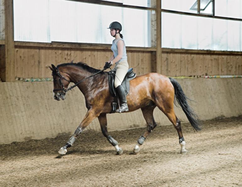 weight loss horse riding, horse rider weight loss tips, exercises for the horse rider, get fit for horse riding, exercise for the equestrian athlete, biorider fitness, bridget braden-olson