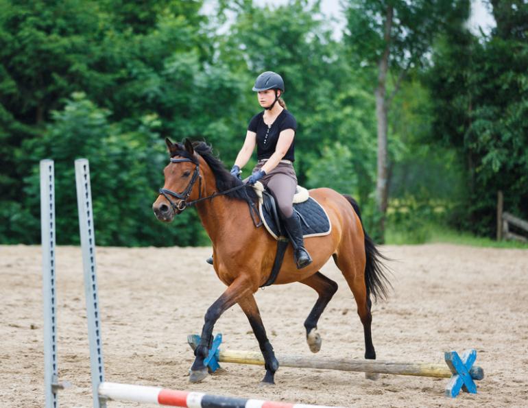 conditioning horse, core for horse, calisthenics horses, posture horses