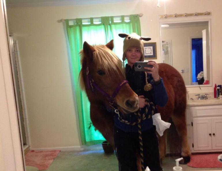 horse selfie, horses, twitter, photography,  