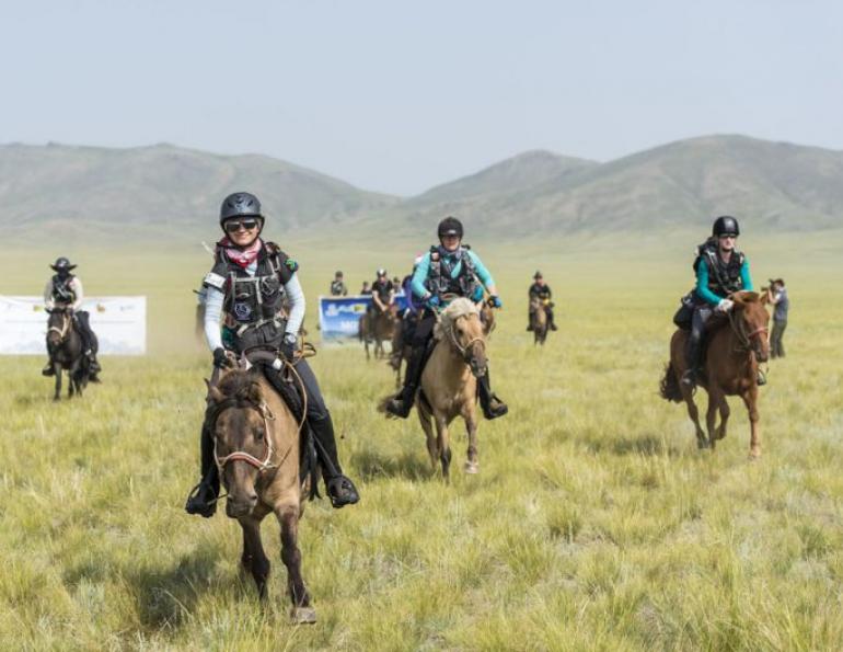 all about that horse, horse stories, horse news, fun horse stories, interesting horse news, trending horse industry, canadians in mongol derby