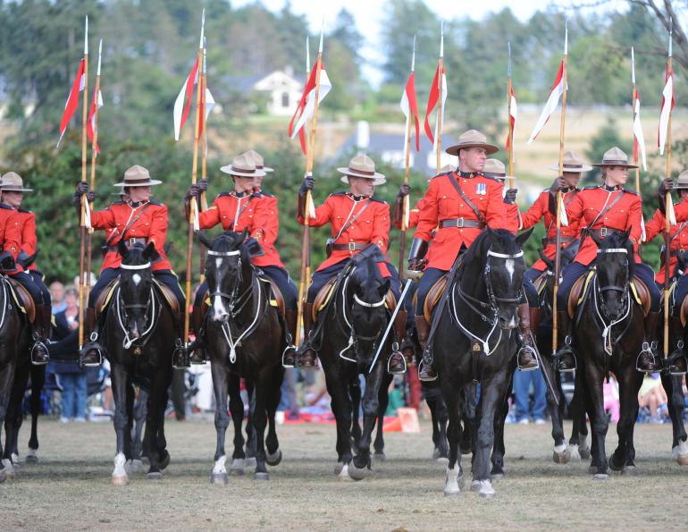 horse riding, all about that horse, horse stories, horse news, fun horse stories, interesting horse news, trending horse industry news, rcmp, horse breeders, musical ride 