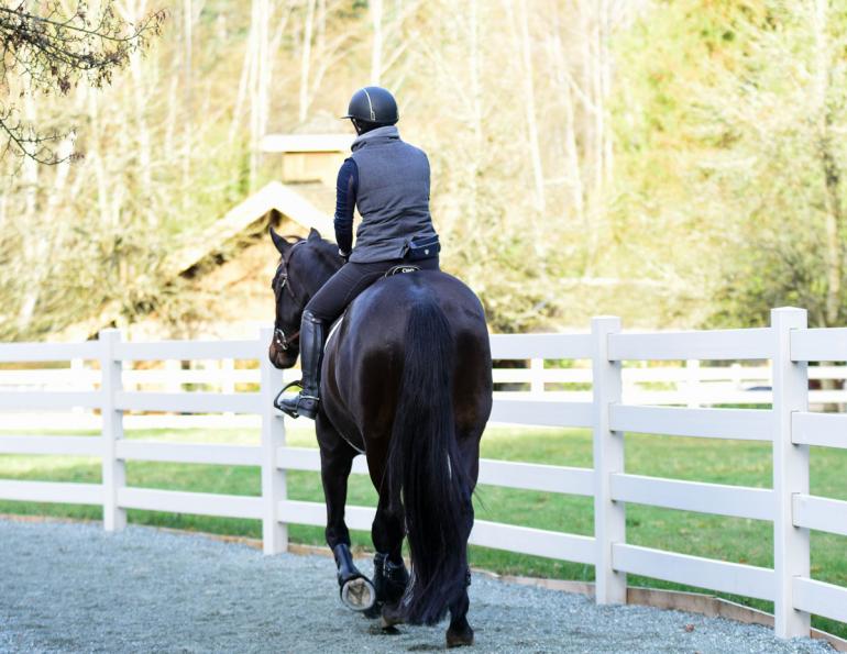 the relatable rider, horse blog, equine blog, april d. Ray horse blog, canadian horse journal blog, horsejournals blog