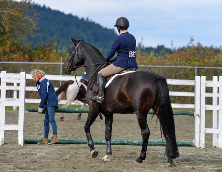 the relatable rider, horse blog, equine blog, april d. ray horse blog, canadian horse journal blog, horsejournals blog