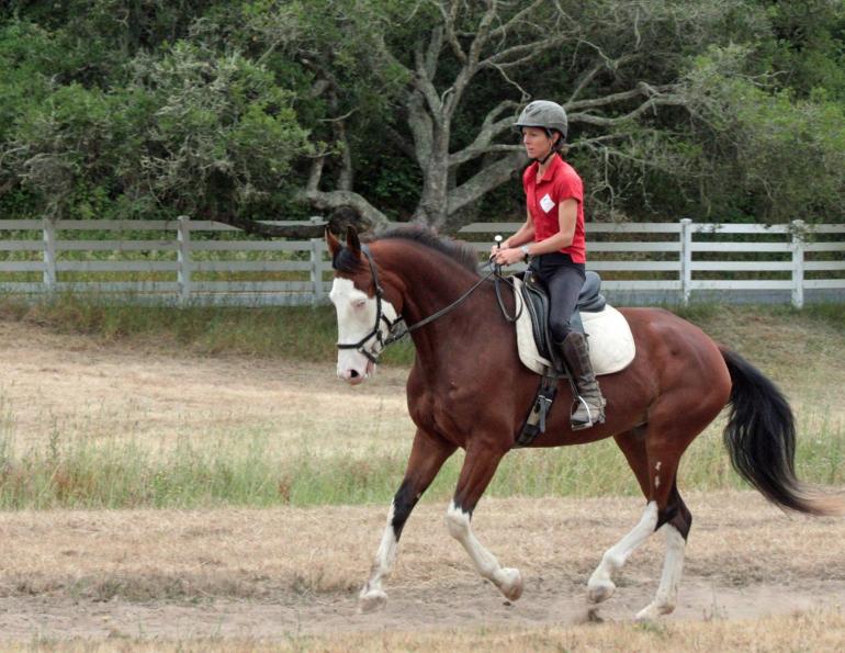 Jec Ballou, horse trainer, jec aristotle ballou, western dressage, jec ballou, dressage, exercises for horse and rider, equine fitness