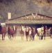 Circle Z Ranch, Holidays on Horseback, Arizona Guest Ranch, Historic Cottages, Trail Riding,