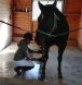 Equine coach bc, riding coach harrison hot springs, riding instructor bc,