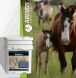 horse health, horse health supplement, joint pain supplement, animal health,