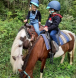 Trail rides ontario, horse vacations ontario, trail riding vactions ontario, horse and rider vacation ontario,