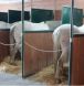 stable design, custom equine stable, crafted stable, fine equine stall, custom paddock, stall accessories, 