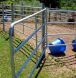 fencing, equine fencing, fencing BC, trusted equine fencing, continuous fencing,
