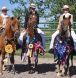 Wonderful show horses that owners can enjoy! 